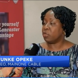 Funke Opeke_CNBC_Africa_
